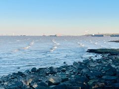 -上海吴淞炮台湾国家湿地公园