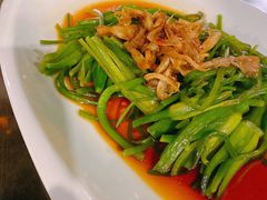 菌香水性杨花-尽善百年古院餐厅(王家老宅店)