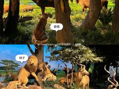 -国家自然博物馆