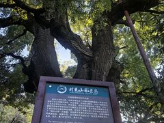 -封龙山风景区