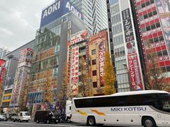 -秋叶原电器街