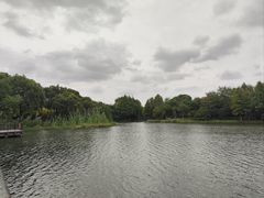 -尚贤河湿地