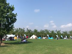 -上海海湾国家森林公园