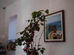 -ALAMEEN阿拉伯餐厅(三里屯店)