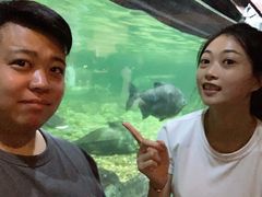 -暹罗海洋世界