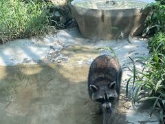 -成都动物园