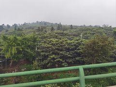 -东山风景区(洞庭东山)