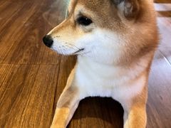 -天地無用GAME BAR