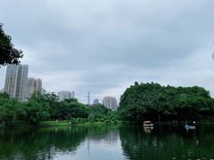 -晓港公园