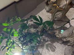 -梅花香里大酒店(郁金香路店)