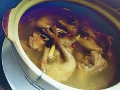 -东鸽皇(奥园·中环广场店)