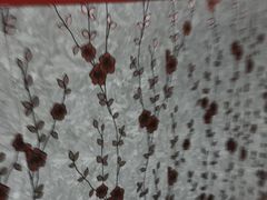 -灿哥羊汤(果园店)
