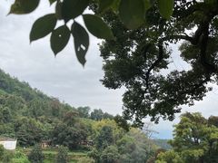 -杨家堂村