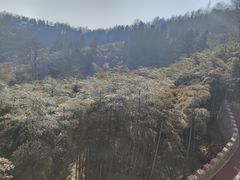 -莫干山风景区