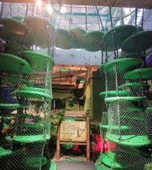 -恐龙探索乐园(磁器口店)