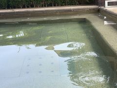 -大连金石滩绿发温泉假日酒店