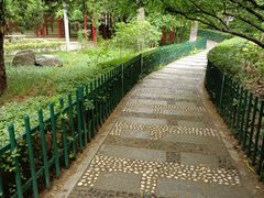 -西安市长乐公园