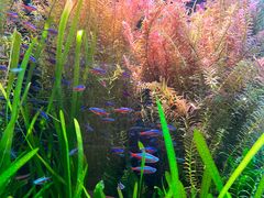 -上海海洋水族馆