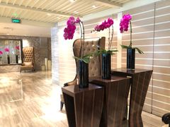 -北京王府井希尔顿酒店·万斯阁西餐厅