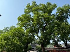 -红螺寺