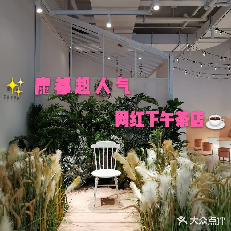 🧡魔都首家花草系列咖啡厅|连迪丽热巴都夸奖的一家神仙颜值咖