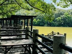 -白马涧龙池景区