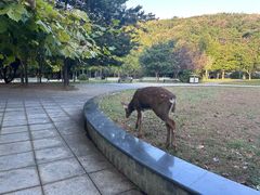 -大连森林动物园