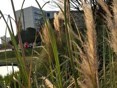 -成都中医药大学(温江校区)