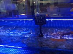 -渔民船说·北塘海鲜·天津菜·海肠捞饭(北塘古镇店)