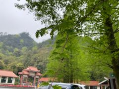 -缙云山景区