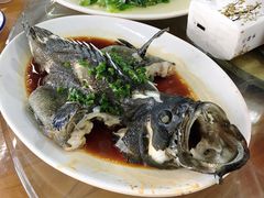 清蒸石斑鱼-明记海鲜大排档(巽寮湾店)