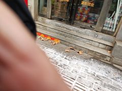 -农夫大盘鸡(经八路总店)