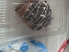 -FANEN法念·烘焙·甜点(万象城店)