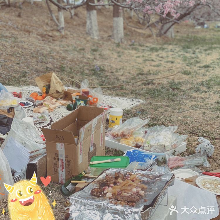 河边全是桃树,超级美,唯一不好就是河岸太高,离水太远