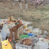 河边全是桃树，超级美，唯一不好就是河岸太高，离水太远