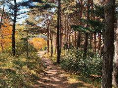 -玉泉威虎山森林公园