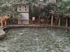 -龙达温泉生态城