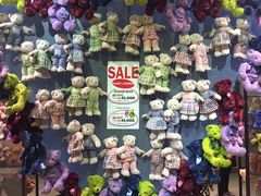 -济州岛泰迪熊博物馆