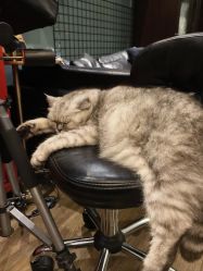 -729CLUB美式风格纹身店