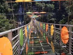 -九龙江国家森林公园