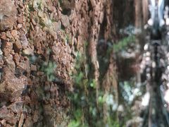 -冶父山国家森林公园