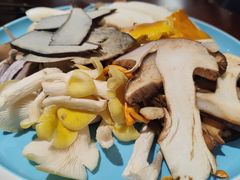 -菌之家·专业纯野生菌火锅·特色炒菌