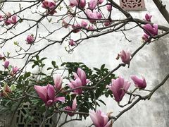 -前童古镇