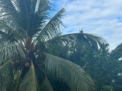 -三亚海棠湾万丽度假酒店