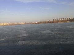 -丁香湖公园