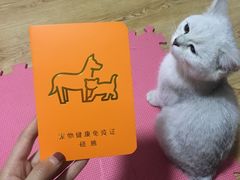 -米苏动物医院·犬猫专科·骨科外科内窥镜