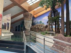 -延庆地质公园博物馆