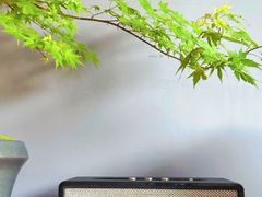 -一叶觅山(半边街店)