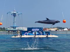 -秦皇岛乐岛海洋王国