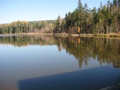 景点-五营红松林海景区